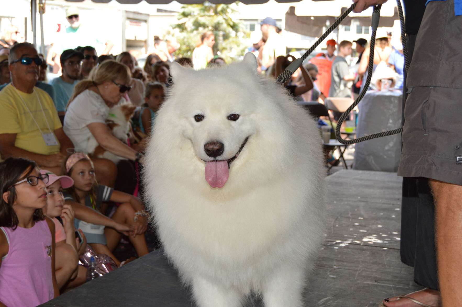 DSC_0186.JPG